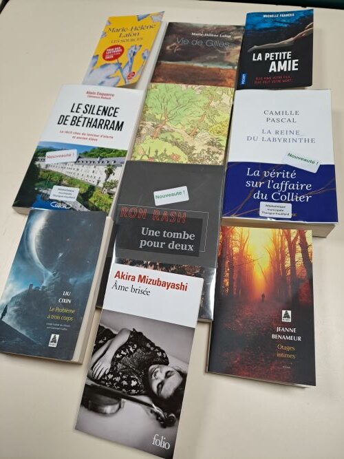 Quelques couvertures de livres présentés au Quartier Livres de mai 2025